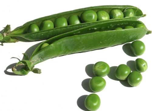 春季吃豌豆的好處?豌豆怎么做更好吃