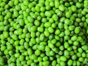 吃綠豆有什么好處?如何煮綠豆?綠豆的功效與作用