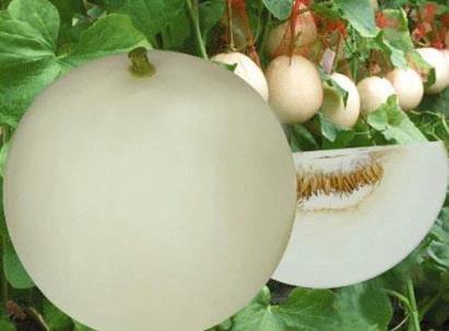 �������ʲô��̎����ϵĹ�Ч�c����