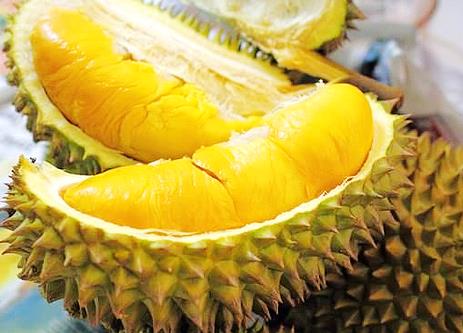 吃榴蓮有什么好處?榴蓮的功效與作用和營養價值