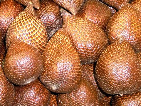 吃蛇皮果有什么好處?蛇皮果的功效與作用