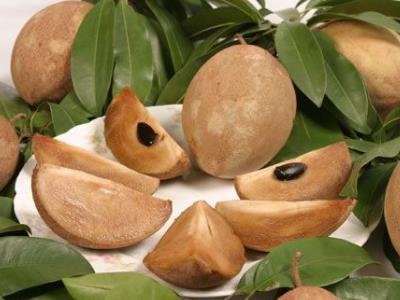 人心果怎么吃?人心果的功效與作用營(yíng)養(yǎng)成分