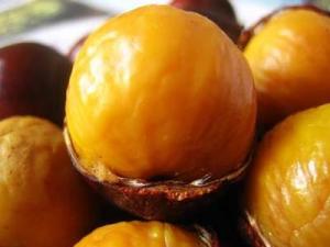 錐栗的營養價值、功效與作用、食用禁忌