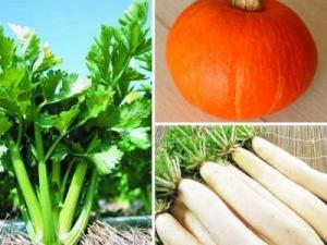 什么食物維生素a多?維生素a的作用及功能