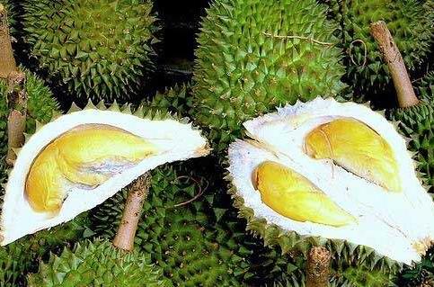 ��ɏ�ĠI�B�rֵ����Ч�c���á�ʳ�ý���