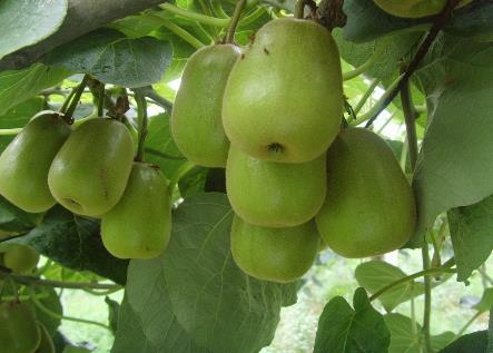 �p�ʹ��ܜp�ʆ᣿�p�ʹ��ĠI�B�rֵ����Ч�c����