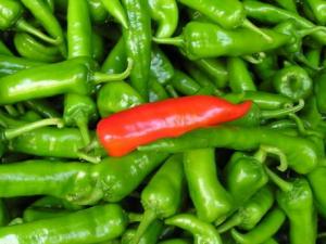 尖椒怎么做好吃?尖椒的營養價值、功效與作用