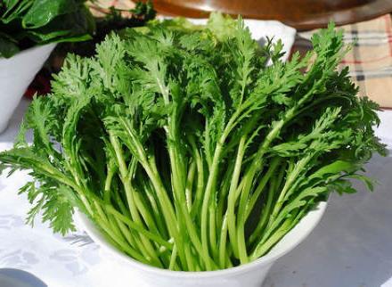 茼蒿怎么做好吃?茼蒿的營養價值、功效與作用