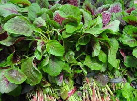 吃莧菜好嗎?莧菜的營養價值、功效與作用