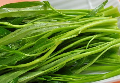 ���Ĳ˵ĠI�B�rֵ-�հײ˵Ĺ�Ч�c����