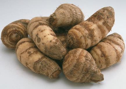 ���^�ĠI�B�rֵ-���^�Ĺ�Ч�c����