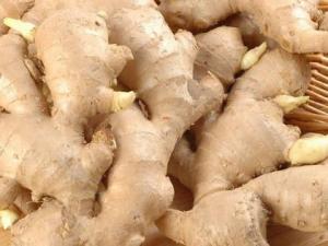 生姜的營養價值-生姜的功效與作用