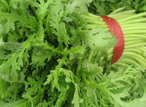 ��������ʲô��̎������Ĺ�Ч�c����