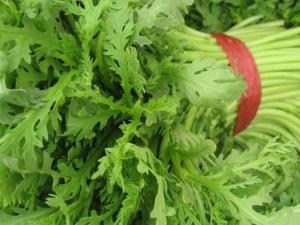 吃茼蒿有什么好處?茼蒿的功效與作用