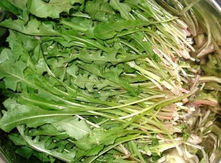 �ѹ�Ӣ�ĠI�B(y��ng)�rֵ-�ѹ�Ӣ�Ĺ�Ч�c����