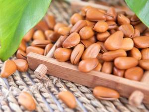 吃松子有什么好處？松子的營養價值、功效與作用