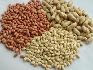 �����ĠI�B�rֵ-�����Ĺ�Ч�c����