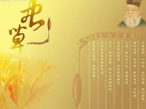 冬蟲夏草是什么?冬蟲夏草的功效與作用及食用方法