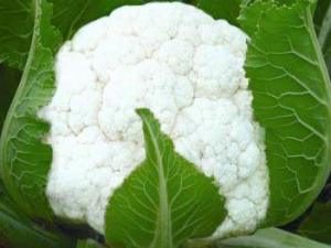 吃花菜有什么好處?花菜的營養價值及功效