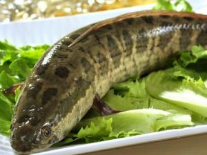 �Ժ��~�ĺ�̎�����~�ĠI(y��ng)�B(y��ng)�r(ji��)ֵ ���~��������ȫ