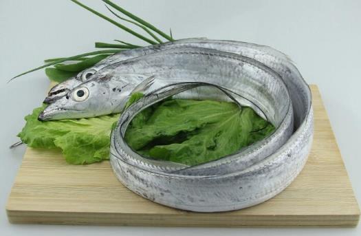 帶魚——益補五臟