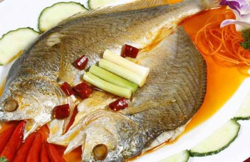 什么魚的營養價值最高?6種最常見魚營養分析