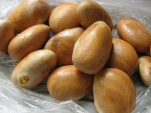 ���}�۵ĺ��ܳԆ������}�۵ĺ���ô�ԣ��Բ��}�ۺ˵�ע�����