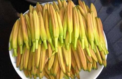 新鮮的黃花菜有毒嗎?