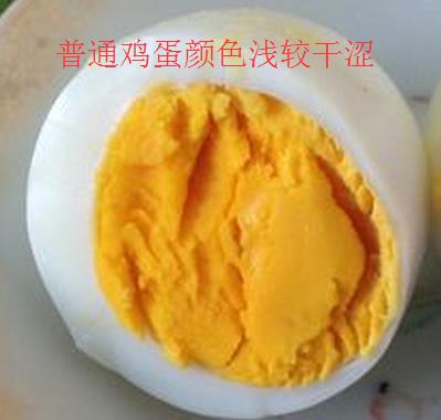 土雞蛋與普通雞蛋有什么區別 土雞蛋與普通雞蛋營養價值對比分析