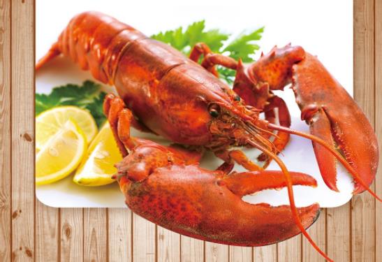 吃龍蝦有什么好處和禁忌?龍蝦的營養價值和食療功效