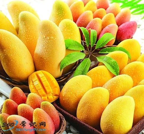 â�����ӄ�Ƥ��â����Ƥ����