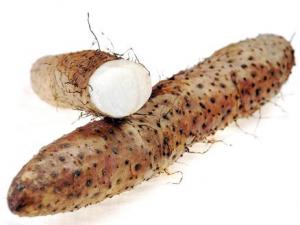 如何選購山藥?山藥的挑選方法