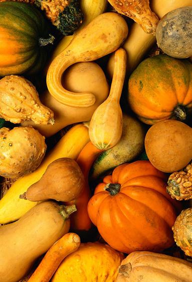 �������x�Ϲ����Ϲϵ����x����