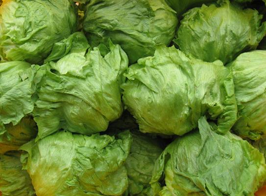 ������x���r���ˣ����˵����x����