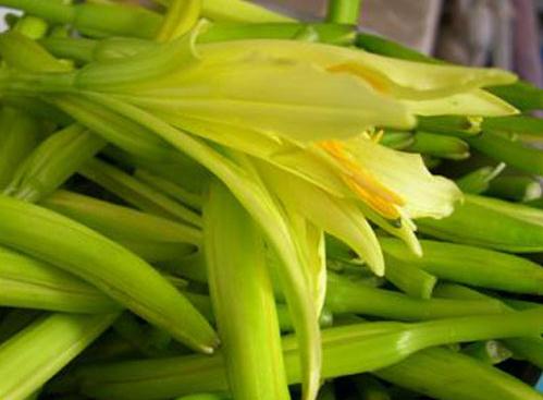 黃花菜怎么做好吃?黃花菜的吃法