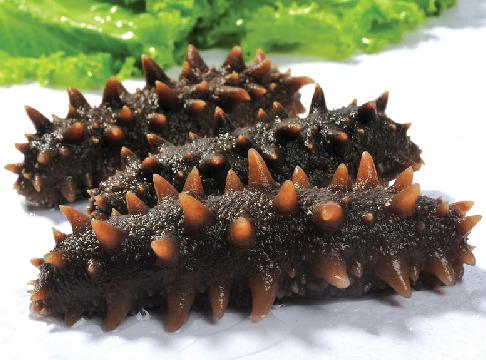 海參怎么泡發?泡發海參的方法