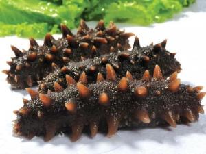 海參怎么泡發?泡發海參的方法