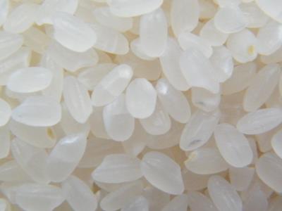 如何鑒別糯米中摻有大米?糯米和大米的區別