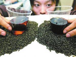 如何挑選優(yōu)質(zhì)的黑米?怎樣挑選黑米