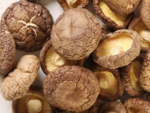 如何泡發(fā)干香菇和干黑木耳?泡香菇加糖,發(fā)木耳加鹽