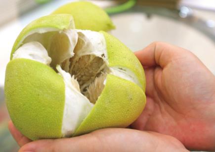 如何一眼挑出甜柚子?挑柚子的方法