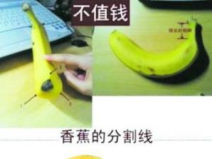 是香蕉還是芭蕉？芭蕉和香蕉的區別