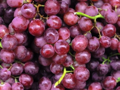 如何挑選新鮮的葡萄?新鮮葡萄的選購方法