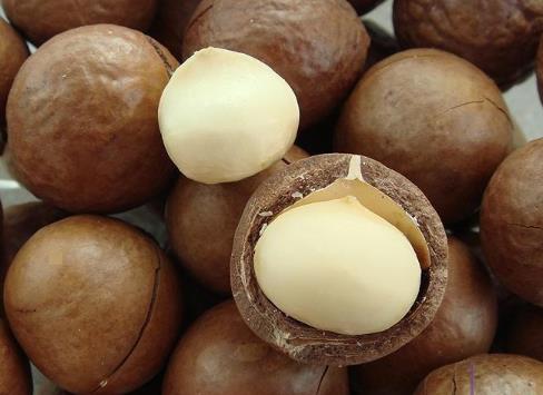 夏威夷果怎么開?吃夏威果的注意事項