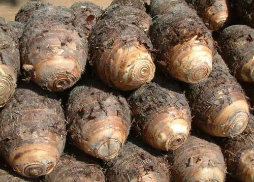 ��ɽˎ��̎�����^�r�ְl�W��ô�k