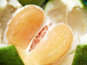 文旦和柚子有區(qū)別嗎?如何挑選文旦柚