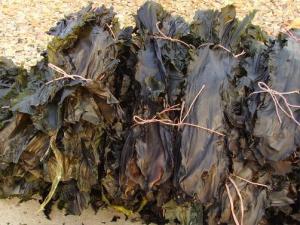 如何挑選干海帶?干海帶的挑選方法