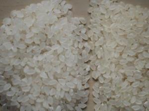 怎樣區分新米和陳米?如何辨別大米的質量