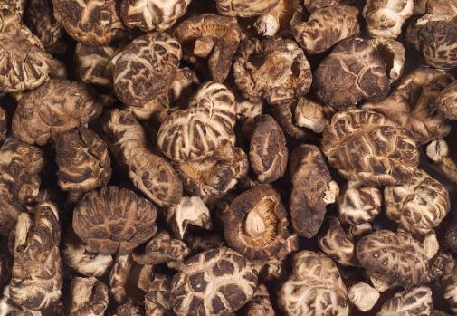 ��Ģ��Ҫ�ݶ�ã���Ģ���ݰl(f��)��С�[�T(m��n)