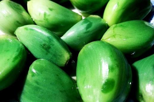 怎樣腌臘八蒜?臘八蒜的腌制方法